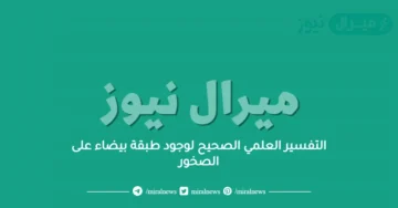 التفسير العلمي الصحيح لوجود طبقة بيضاء على الصخور