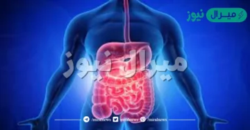 الجهاز الهضمي يتخلص من فضلات الخلايا في الدم، ويسيطر على حجم صواب خطأ
