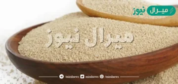 الخميرة المستخدمة في صناعة الخبز ما هي إلا فطر وحيد الخلية ينتمي إلى