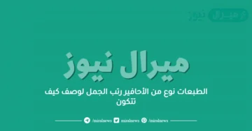الطبعات نوع من الأحافير رتب الجمل لوصف كيف تتكون