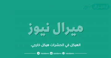 الهيكل في الحشرات هيكل خارجي.