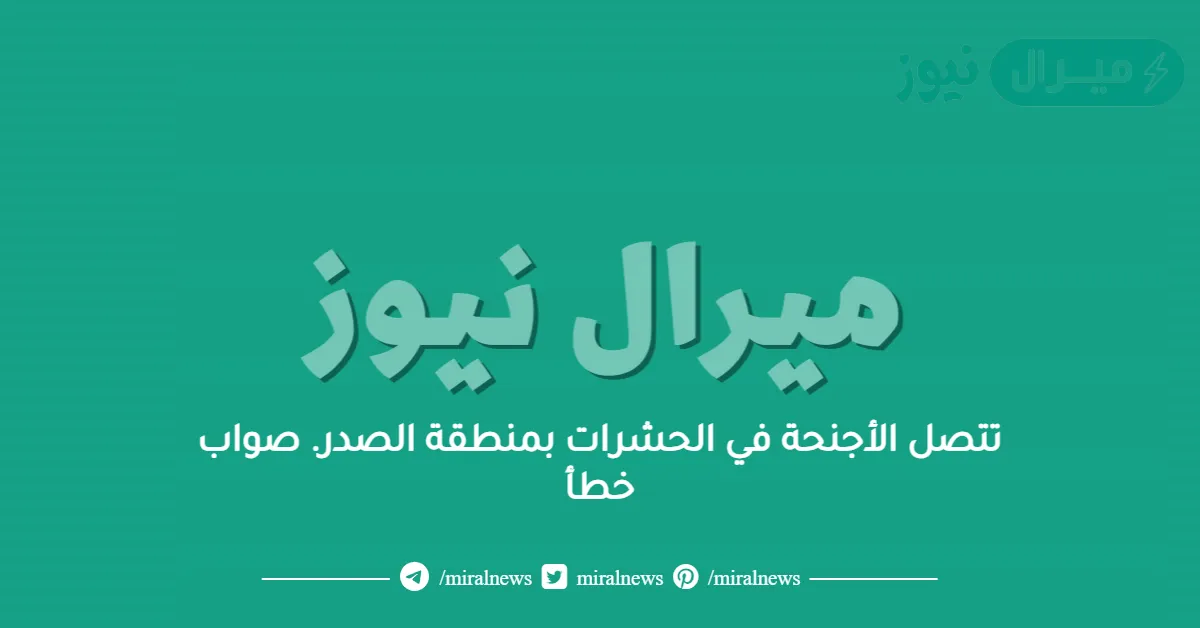 تتصل الأجنحة في الحشرات بمنطقة الصدر. صواب خطأ