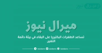 تساعد الطفرات البكتيريا على البقاء في بيئة دائمة التغير.