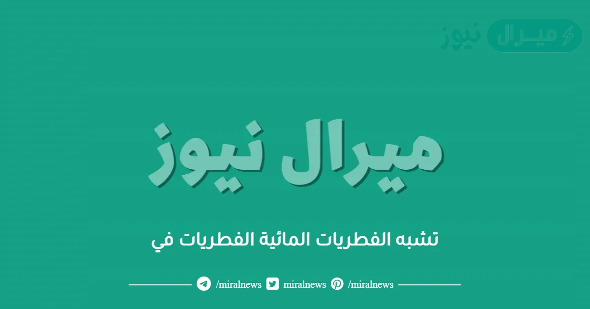 تشبه الفطريات المائية الفطريات في