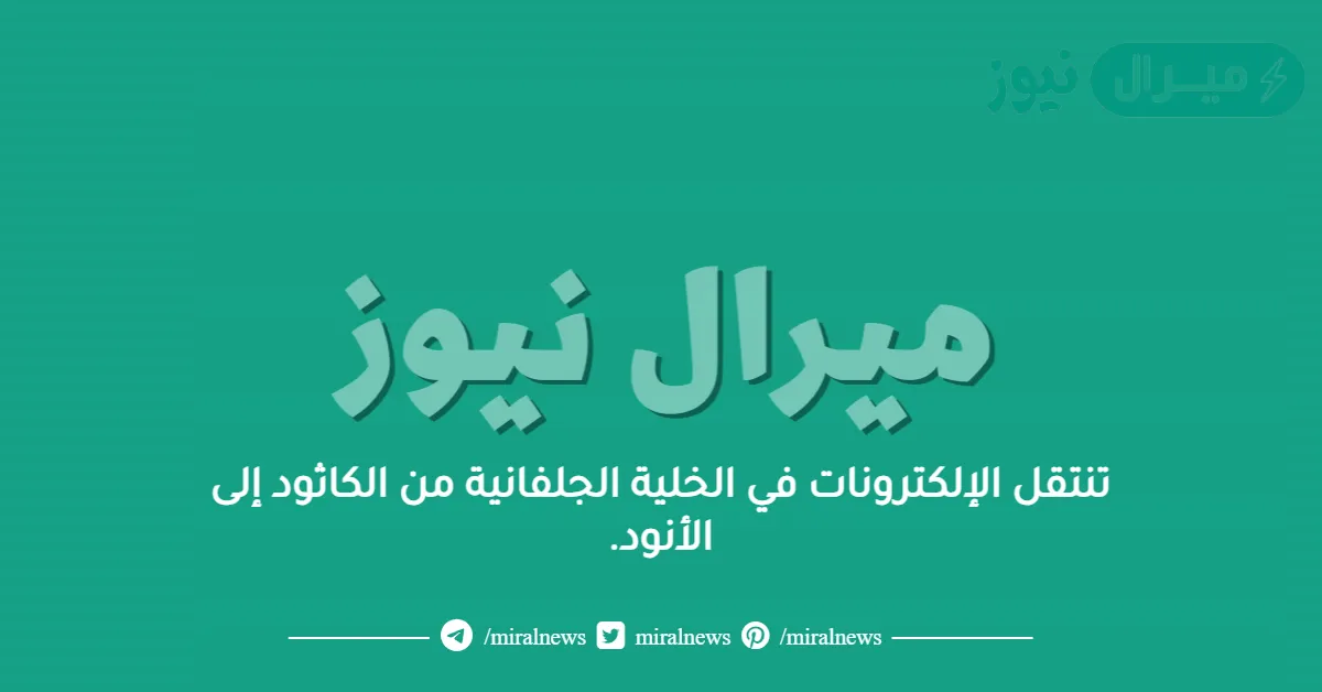تنتقل الإلكترونات في الخلية الجلفانية من الكاثود إلى الأنود.