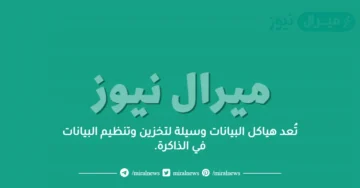 تُعد هياكل البيانات وسيلة لتخزين وتنظيم البيانات في الذاكرة.