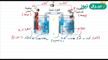 خلية جلفانية، أو أكثر في عبوة واحدة تنتج التيار