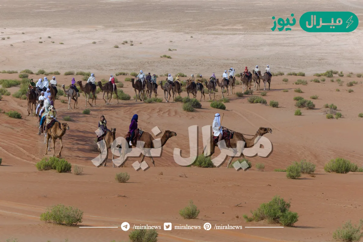 رحلة الهجن تواصل مسيرتها في أطول نسخها التاريخية عبر دروب الحجاج