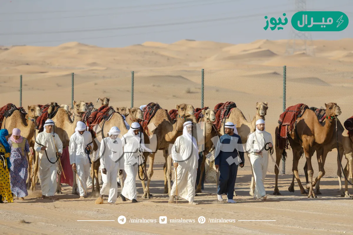 قافلة الهجن تعبر دروب الحجاج وتقترب من محطتها الختامية في دبي