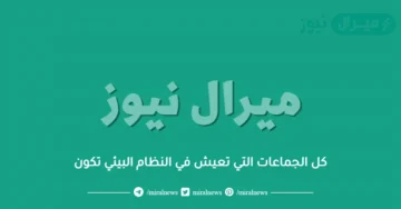 كل الجماعات التي تعيش في النظام البيئي تكون