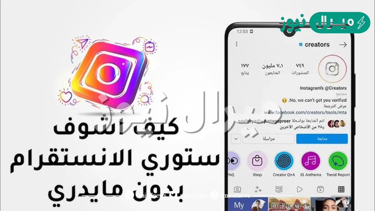 كيف اشوف ستوري انستا بدون مايدري