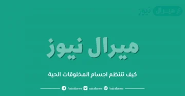 كيف تنتظم اجسام المخلوقات الحية