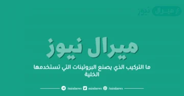 ما التركيب الذي يصنع البروتينات التي تستخدمها الخلية