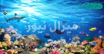 ما العامل الذي يساهم في عوم الأسماك في المياه