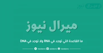 ما القاعدة التي توجد في RNA ولا توجد في DNA