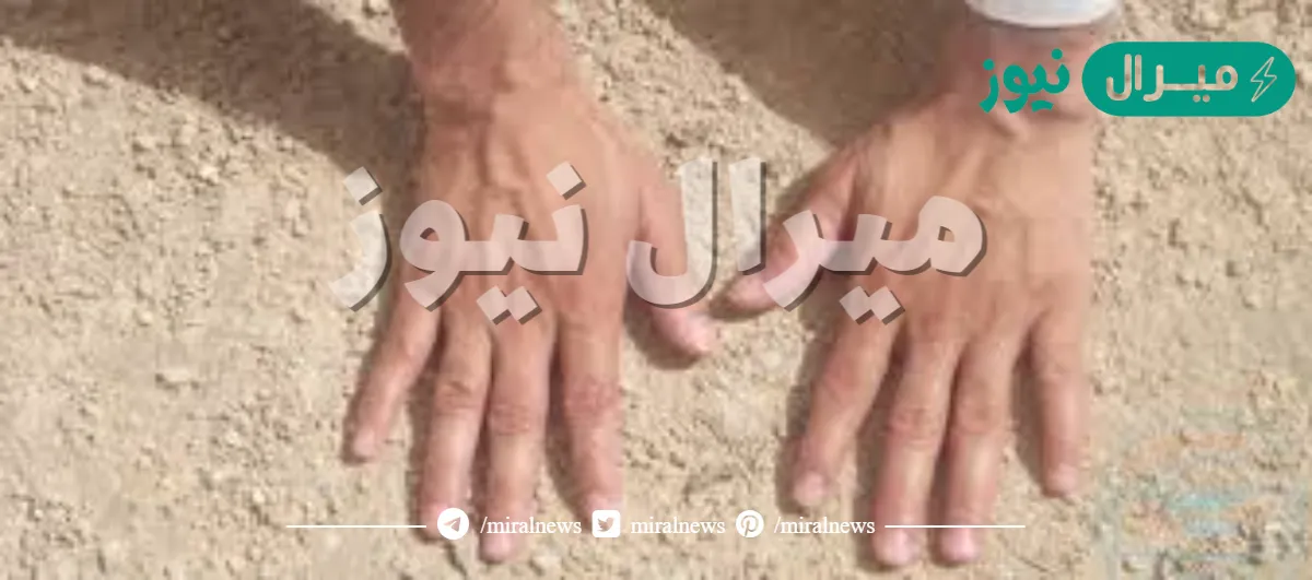 ما هو اول عضو يتم مسحه في التيمم بعد ضرب التراب