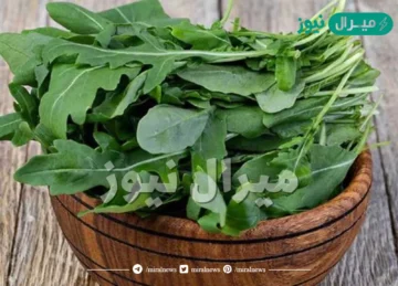 ما هي فوائد الجرجير للرجال