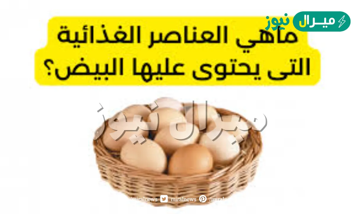 ماهي العناصر الغذائية التى يحتوى عليها البيض؟