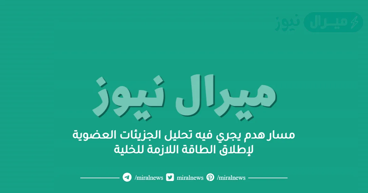 مسار هدم يجري فيه تحليل الجزيئات العضوية لإطلاق الطاقة اللازمة للخلية