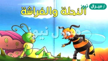 من أوجه الشبه بين الفراشة والنحلة، جميعهما من الحشرات ولهما أجنحة يطيران بها.