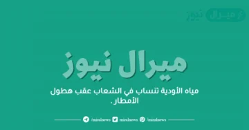 مياه الأودية تنساب في الشعاب عقب هطول الأمطار .