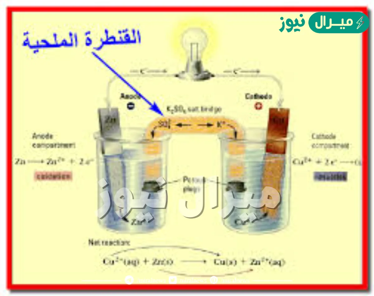 وظيفة القنطرة الملحية في الخلية الجلفانية..