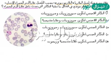يتشابه جنس التريبانوسوما وجنس البلازموديوم في أن كلًّا منهما يحتاج لإكمال دورة حياته إلى