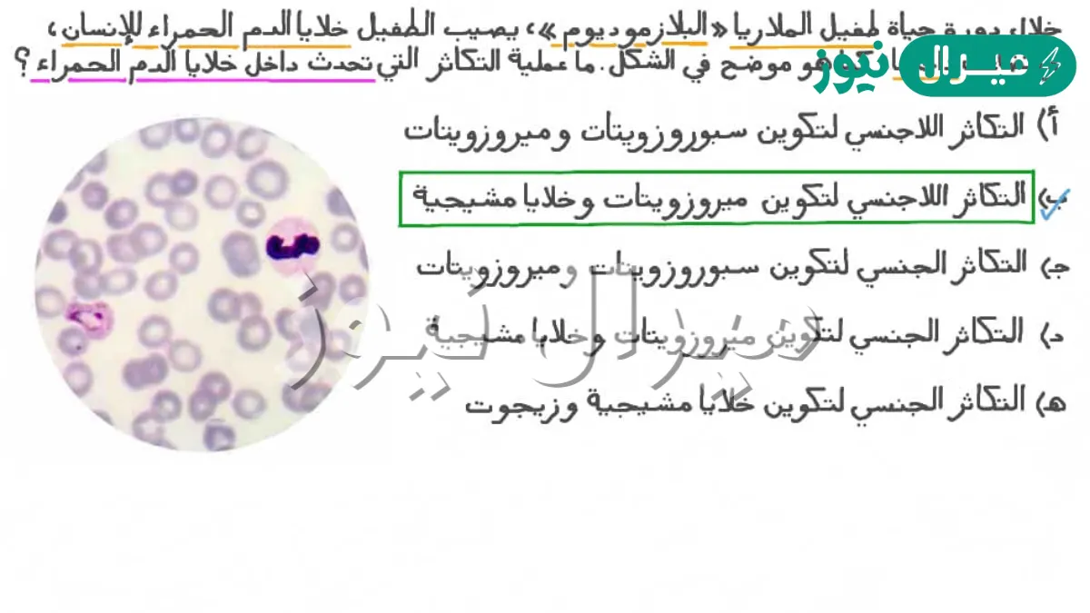 يتشابه جنس التريبانوسوما وجنس البلازموديوم في أن كلًّا منهما يحتاج لإكمال دورة حياته إلى