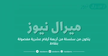 يتكون من سلسلة من أربعة أرقام عشرية مفصولة بنقاط