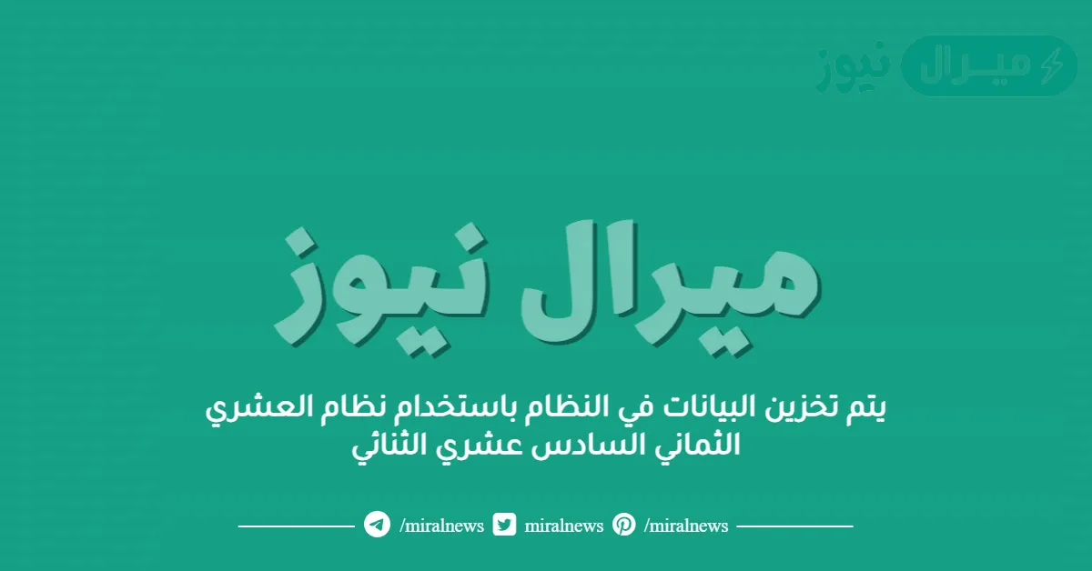 يتم تخزين البيانات في النظام باستخدام نظام العشري الثماني السادس عشري الثنائي