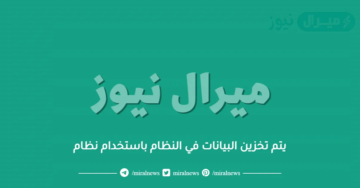 يتم تخزين البيانات في النظام باستخدام نظام