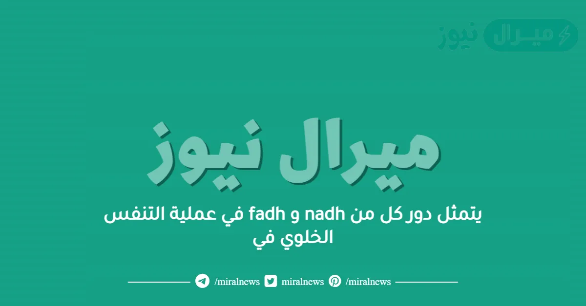 يتمثل دور كل من nadh و fadh في عملية التنفس الخلوي في