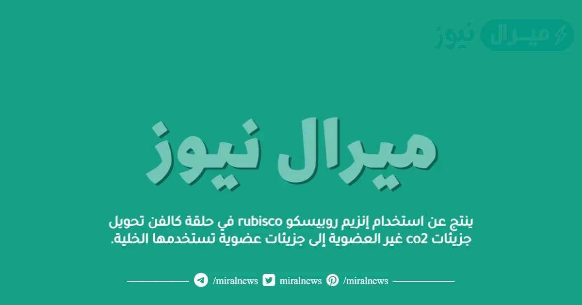 ينتج عن استخدام إنزيم روبيسكو rubisco في حلقة كالفن تحويل جزيئات co2 غير العضوية إلى جزيئات عضوية تستخدمها الخلية.