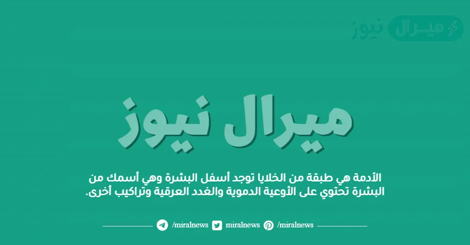 الأدمة هي طبقة من الخلايا توجد أسفل البشرة وهي أسمك من البشرة تحتوي على الأوعية الدموية والغدد العرقية وتراكيب أخرى.