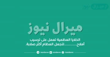 الخلايا العظمية تعمل على ترسيب أملاح………….لتجعل العظام أكثر صلابة.