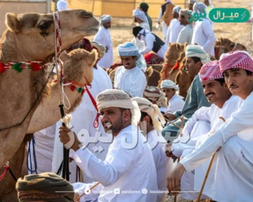 بمشاركة خليجية واسعة انطلاق التصفيات التأهيلية لبطولة كاس فزاع للعرضة وسيف فزاع للزمط