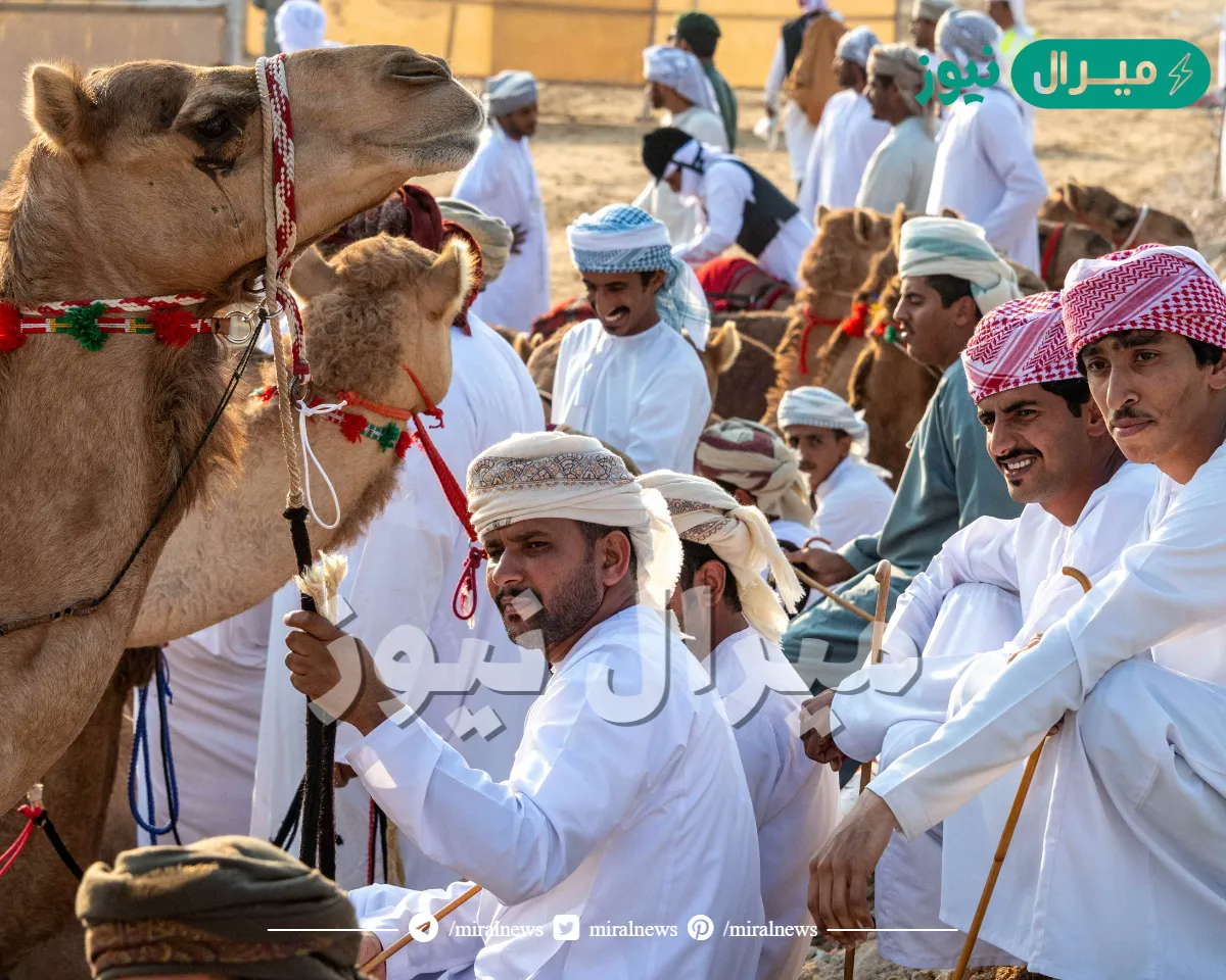 بمشاركة خليجية واسعة انطلاق التصفيات التأهيلية لبطولة كاس فزاع للعرضة وسيف فزاع للزمط