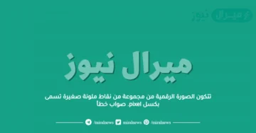 تتكون الصورة الرقمية من مجموعة من نقاط ملونة صغيرة تسمى بكسل pixel. صواب خطأ