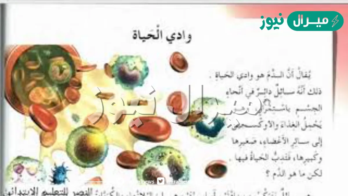 تحضير نص وادي الحياة للسنة الخامسة ابتدائي
