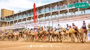 تزامنًا مع مهرجان ولي عهد دبي للهجن ختام مميز لماراثون اليوم الوطني للهجن