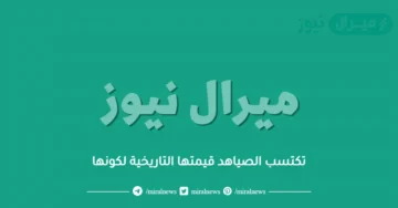 تكتسب الصياهد قيمتها التاريخية لكونها