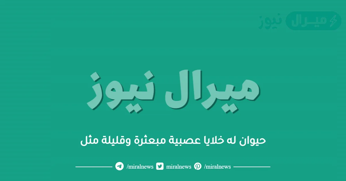 حيوان له خلايا عصبية مبعثرة وقليلة مثل