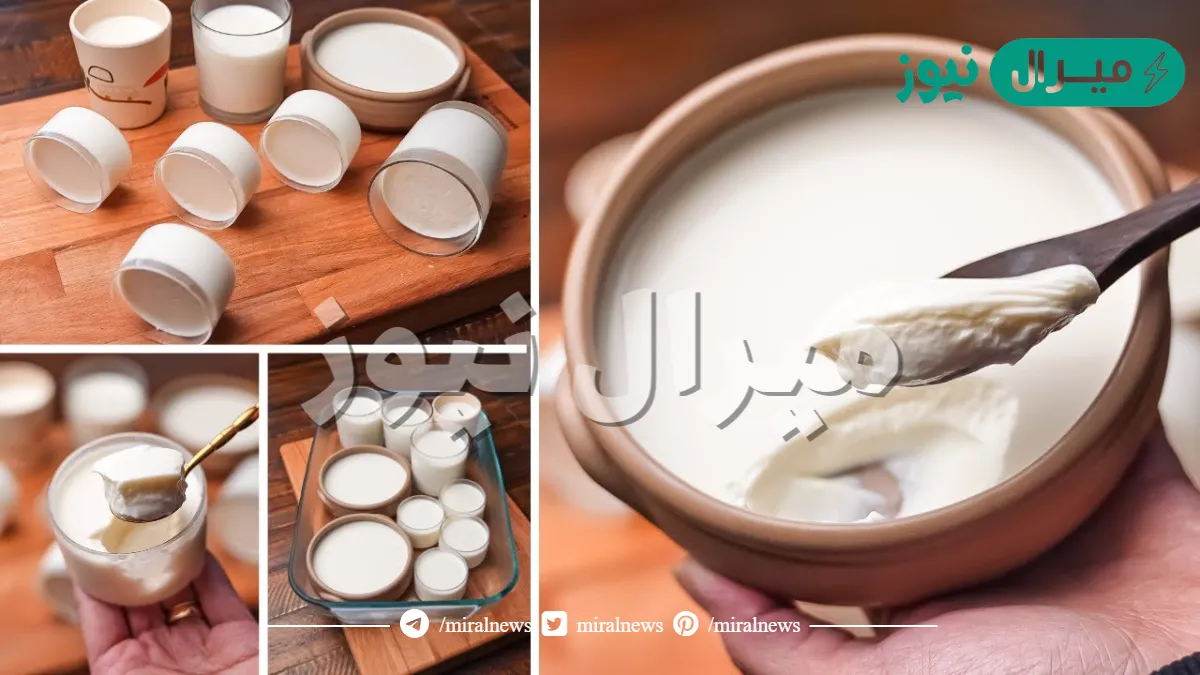 طريقة تحضير الزبادي خطوة بخطوة في البيت بأقل تكلفة بمناسبة شهر رمضان