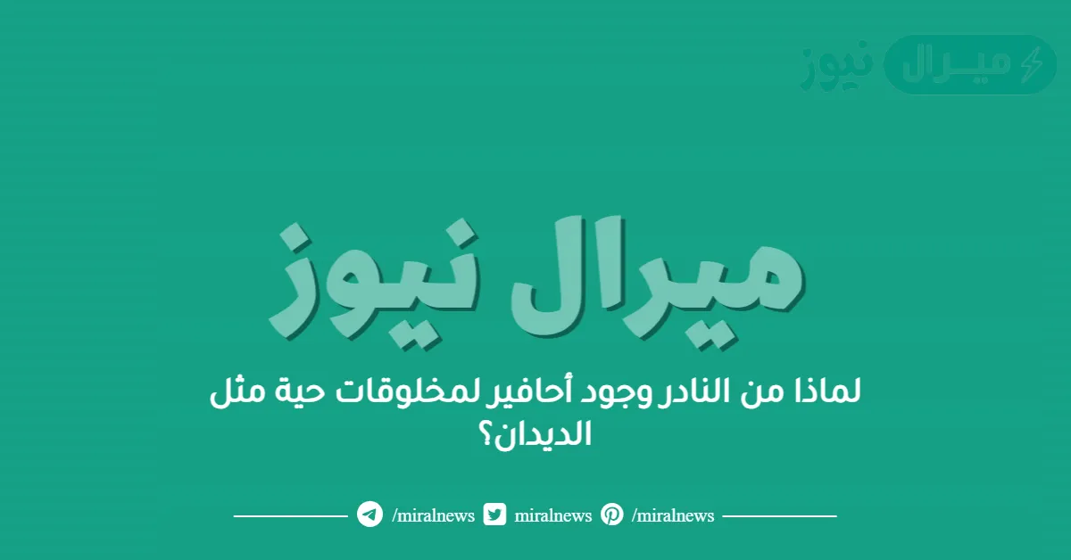 لماذا من النادر وجود أحافير لمخلوقات حية مثل الديدان؟