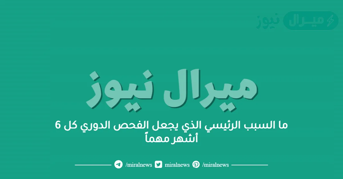 ما السبب الرئيسي الذي يجعل الفحص الدوري كل 6 أشهر مهماً