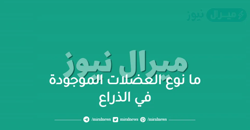 ما نوع العضلات الموجودة في الذراع