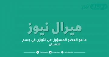 ما هو العضو المسؤول عن التوازن في جسم الانسان