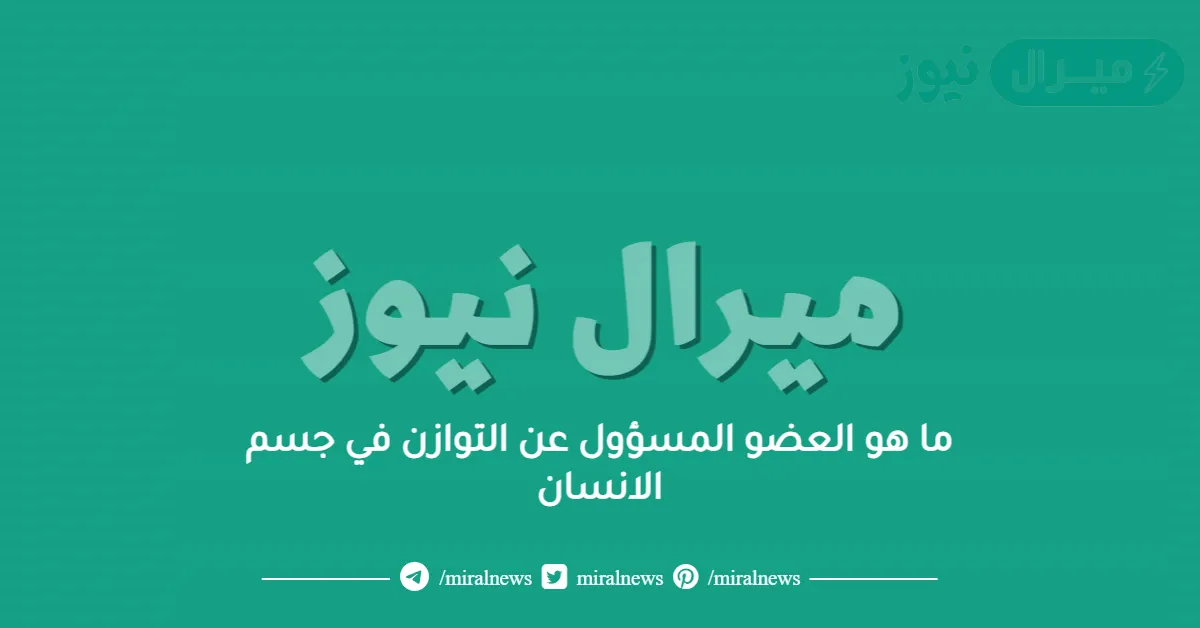 ما هو العضو المسؤول عن التوازن في جسم الانسان