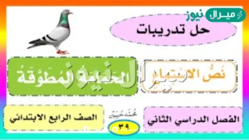 من الأفكارالفرعية في نص الحمامة المطوقة
