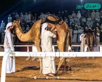 منصور الأحبابي يضرب موعدًا مع سعيد المهيري في نهائي بطولة فزاع لليولة